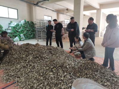 校企合作推動(dòng)生態(tài)環(huán)境材料銷(xiāo)售的發(fā)展與創(chuàng)新