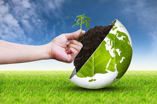 環(huán)境工程、環(huán)境生態(tài)工程與生態(tài)環(huán)境材料銷(xiāo)售 區(qū)別與關(guān)聯(lián)