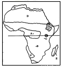 人類(lèi)活動(dòng)對(duì)極地生態(tài)環(huán)境的影響