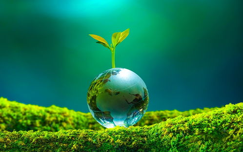 中國(guó)版綠色發(fā)展馬歇爾計(jì)劃 提升金融國(guó)際影響力與生態(tài)環(huán)境材料銷(xiāo)售的雙贏戰(zhàn)略