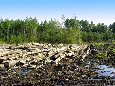 守護綠色家園 生態環境材料銷售在可持續發展中的關鍵作用